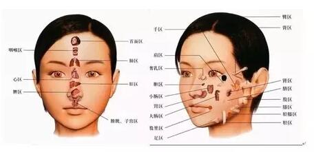 物理美容按摩器模拟按摩手法，使用简单效果无害而出众